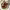 https://res.cloudinary.com/billionhands/image/upload/v1775100589/items/s4xzsdsqwlqyesd47olr.jpg-1cover