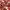https://res.cloudinary.com/billionhands/image/upload/v1775100589/items/yhlqhncw5yuwwijtshga.jpg-3cover