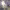 https://res.cloudinary.com/billionhands/image/upload/v1775100751/items/wsqkod7orxjxn6kauam9.jpg-3cover