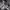 https://res.cloudinary.com/billionhands/image/upload/v1775102965/items/femx6pzwhjhbi4wli9pa.jpg-2cover