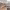 https://res.cloudinary.com/billionhands/image/upload/v1775104672/items/smlbib2gmqmp7yywnaem.webp-2cover