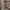 https://res.cloudinary.com/billionhands/image/upload/v1775104748/items/fm8fotx1yx6faksslbzv.jpg-0cover