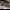 https://res.cloudinary.com/billionhands/image/upload/v1775104752/items/tqhhf7bl3wnsivhjsc1l.jpg-2cover
