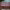 https://res.cloudinary.com/billionhands/image/upload/v1775104924/items/egnxjp3oceyqw1qskvfq.webp-0cover