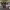https://res.cloudinary.com/billionhands/image/upload/v1775105434/items/hmk3qabgoturvbgqczts.webp-1cover