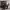 https://res.cloudinary.com/billionhands/image/upload/v1775105435/items/c5mzwmje9cx6yraejn6d.jpg-1cover
