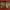 https://res.cloudinary.com/billionhands/image/upload/v1775106603/items/dbali1tmmb93sxoieshf.webp-2cover