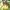 https://res.cloudinary.com/billionhands/image/upload/v1775106628/items/xkenmxjbx3wjsanulrsg.jpg-1cover