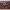 https://res.cloudinary.com/billionhands/image/upload/v1775106652/items/gpxybi6ilya1a2tpqst8.png-2cover