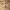 https://res.cloudinary.com/billionhands/image/upload/v1775107649/items/bri5pvnb0dmcx8n8xann.jpg-1cover