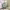 https://res.cloudinary.com/billionhands/image/upload/v1775110123/items/laplmapzvgv43y1tjdlt.avif-2cover