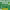 https://res.cloudinary.com/billionhands/image/upload/v1775110216/items/evegju202oyo0exiu4iv.webp-2cover