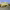 https://res.cloudinary.com/billionhands/image/upload/v1775110229/items/yygxnpvg4rn4nipnuyxe.jpg-0cover