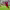 https://res.cloudinary.com/billionhands/image/upload/v1775110269/items/wz9atsarunauxafsnh62.webp-0cover