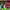 https://res.cloudinary.com/billionhands/image/upload/v1775110270/items/fff9bhmjylla60dfrus4.jpg-3cover
