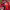 2021 Premier League: West Bromwich Albion 1-2 Liverpool cover