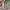 https://res.cloudinary.com/billionhands/image/upload/v1775110572/items/cqlvbvtrcy0aeplu0fbw.jpg-0cover