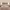https://res.cloudinary.com/billionhands/image/upload/v1775110573/items/odabkxqetzd25lsm12o6.webp-1cover