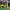 https://res.cloudinary.com/billionhands/image/upload/v1775111425/items/ztmbwmno7vhres01tamu.webp-1cover