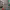 https://res.cloudinary.com/billionhands/image/upload/v1775111545/items/hryzyglccp9iwhhv5yxi.jpg-1cover