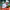 https://res.cloudinary.com/billionhands/image/upload/v1775111560/items/sevttbsvpkthspmqvyhw.png-3cover
