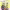 https://res.cloudinary.com/billionhands/image/upload/v1775111614/items/jfsk6ow8mizdtwoxqiie.jpg-0cover