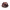 https://res.cloudinary.com/billionhands/image/upload/v1775111640/items/vt0jclp073el8iocc1k8.webp-3cover