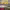 https://res.cloudinary.com/billionhands/image/upload/v1775111642/items/ncnd7fyoufhs8cbuzswe.webp-1cover