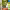 https://res.cloudinary.com/billionhands/image/upload/v1775112030/items/ffryrrzoft9rtm8aslyt.jpg-3cover
