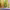https://res.cloudinary.com/billionhands/image/upload/v1775112376/items/fpxifji4urpanvwcccqi.jpg-2cover