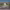 https://res.cloudinary.com/billionhands/image/upload/v1775112467/items/wppwhkvzvq6l7a4k47ty.jpg-3cover
