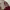 https://res.cloudinary.com/billionhands/image/upload/v1775112619/items/tmtu6j8gn1amtsyqebqy.avif-2cover