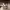 https://res.cloudinary.com/billionhands/image/upload/v1775112782/items/svnzdwkamqsqsilgnmcx.jpg-3cover