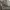 https://res.cloudinary.com/billionhands/image/upload/v1775112787/items/qyhfhxooos8lhlqurcrc.jpg-2cover