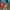 https://res.cloudinary.com/billionhands/image/upload/v1775112913/items/auoi0lhkrhami1ilprub.webp-1cover