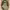 https://res.cloudinary.com/billionhands/image/upload/v1775113070/items/ohdebrdbngp0z2tawnte.jpg-1cover