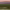 https://res.cloudinary.com/billionhands/image/upload/v1775113673/items/grz0emybwitcb3f4lbbi.jpg-2cover