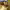 https://res.cloudinary.com/billionhands/image/upload/v1775113818/items/wt5ws4ckzfj693uevqr3.webp-0cover