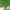 https://res.cloudinary.com/billionhands/image/upload/v1775113820/items/or4ij2m8hzcisb0k1hat.jpg-1cover