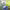 https://res.cloudinary.com/billionhands/image/upload/v1775113857/items/evurdvknfvpjegruvrvb.png-1cover