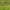 https://res.cloudinary.com/billionhands/image/upload/v1775113859/items/anaqmheugmohmcjvooxd.webp-1cover