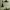 https://res.cloudinary.com/billionhands/image/upload/v1775114090/items/bbbl2iyxpvyoadv8x7qr.webp-0cover