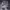 https://res.cloudinary.com/billionhands/image/upload/v1775114092/items/pvhua4blsfywuw6mzk9p.webp-2cover
