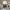https://res.cloudinary.com/billionhands/image/upload/v1775114098/items/to9imrorh63qotrhjwwi.webp-3cover