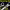 https://res.cloudinary.com/billionhands/image/upload/v1775114111/items/aq6bgwnx67kscazfjn2k.jpg-2cover