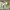 https://res.cloudinary.com/billionhands/image/upload/v1775114115/items/wou6djgdjxaubbv2ovku.jpg-0cover