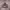 https://res.cloudinary.com/billionhands/image/upload/v1775114119/items/ag5z3t2tswso3iehl3qk.avif-0cover