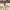 https://res.cloudinary.com/billionhands/image/upload/v1775114438/items/tm43mopcd6whgj4jebus.jpg-1cover