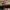 https://res.cloudinary.com/billionhands/image/upload/v1775114537/items/wmvr1p4ogtfhhclwxsnw.jpg-2cover