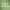 https://res.cloudinary.com/billionhands/image/upload/v1775114962/items/e8kuqpvdn8090dd1hhpp.jpg-2cover